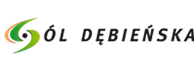 Sól Dębienska